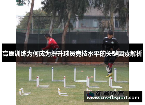 高原训练为何成为提升球员竞技水平的关键因素解析 高原训练为何成为提升球员竞技水平的关键因素解析