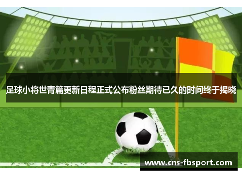 足球小将世青篇更新日程正式公布粉丝期待已久的时间终于揭晓 足球小将世青篇更新日程正式公布粉丝期待已久的时间终于揭晓