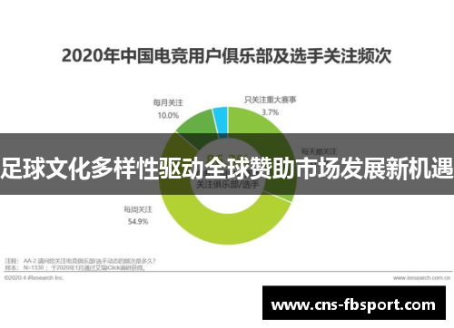 足球文化多样性驱动全球赞助市场发展新机遇 足球文化多样性驱动全球赞助市场发展新机遇
