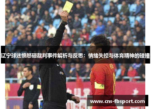 辽宁球迷愤怒砸裁判事件解析与反思:情绪失控与体育精神的碰撞 辽宁球迷愤怒砸裁判事件解析与反思:情绪失控与体育精神的碰撞