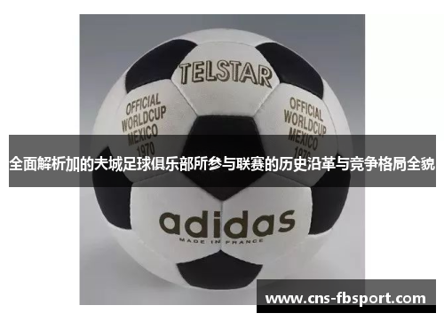 全面解析加的夫城足球俱乐部所参与联赛的历史沿革与竞争格局全貌 全面解析加的夫城足球俱乐部所参与联赛的历史沿革与竞争格局全貌