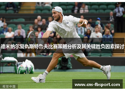 德米纳尔复仇斯特鲁夫比赛策略分析及其关键胜负因素探讨