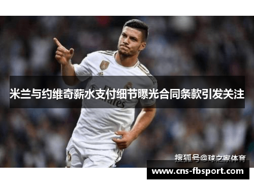 米兰与约维奇薪水支付细节曝光合同条款引发关注