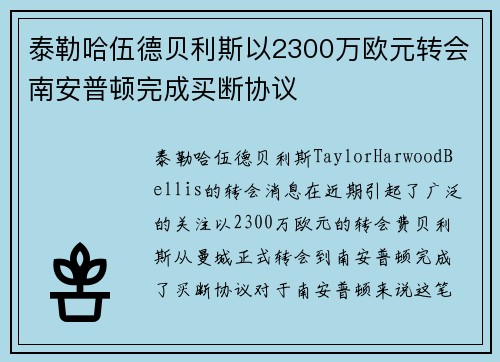 泰勒哈伍德贝利斯以2300万欧元转会南安普顿完成买断协议 泰勒哈伍德贝利斯以2300万欧元转会南安普顿完成买断协议